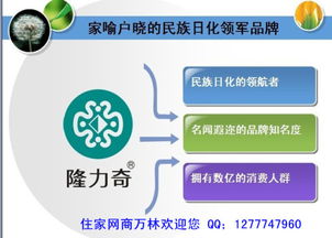 互联网直销的未来机遇与个人参与路径